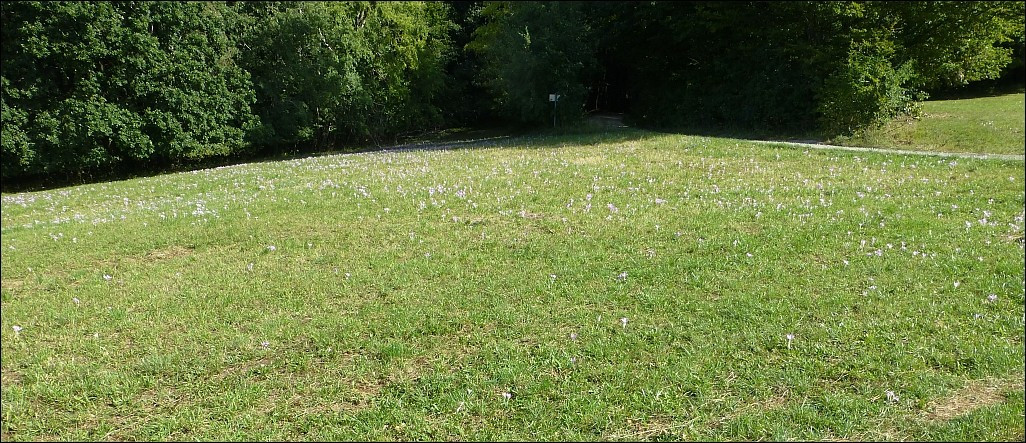 ?random=1686799613&maxWidth=0&embedded=0&thumbnail=medium