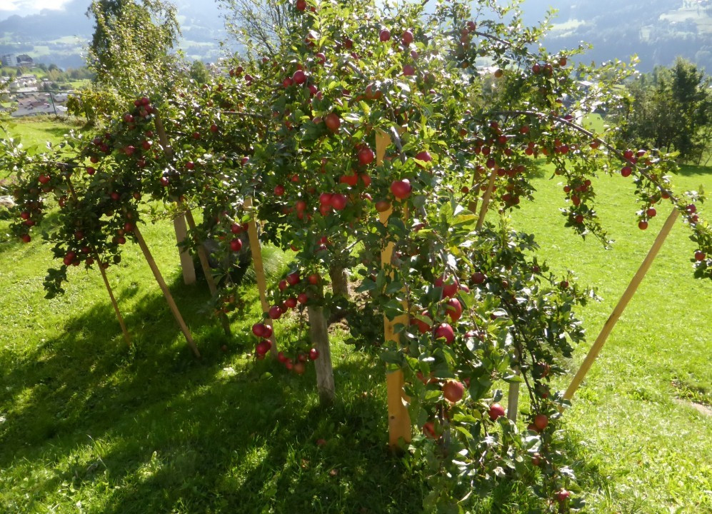 St. Veit im Pongau, Tag und Nacht