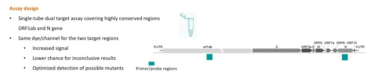 SARS CoV-2 PCR