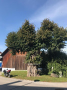 Kaiserlinde Issing