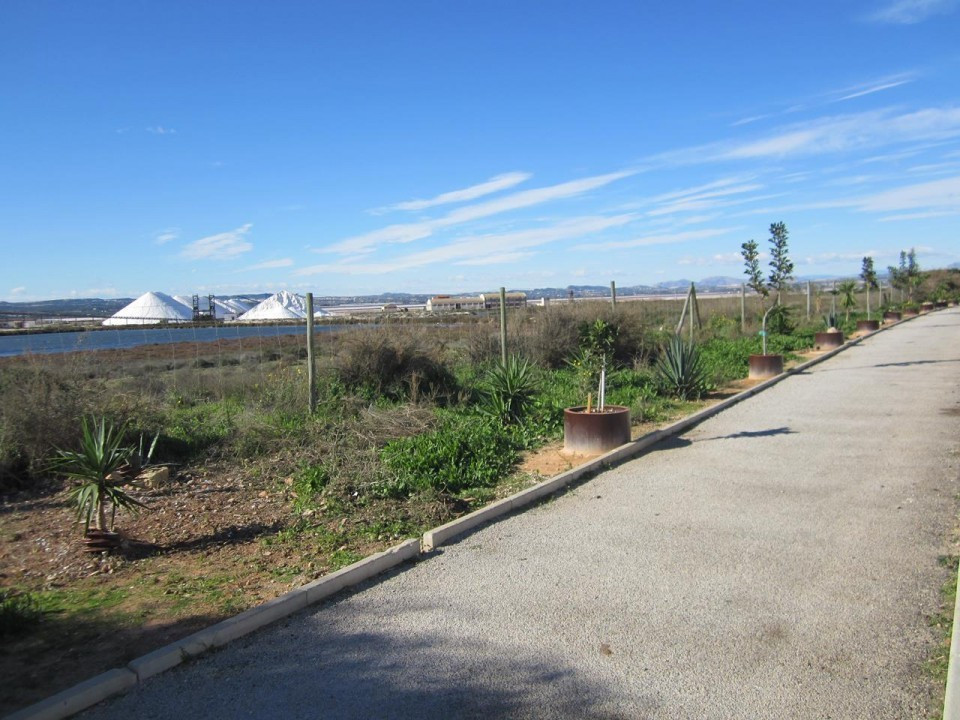 Vía Verde Torrevieja_08