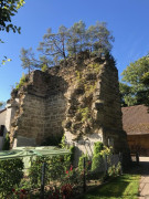 Ruine Wolfsberg