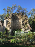 Ruine Wolfsberg