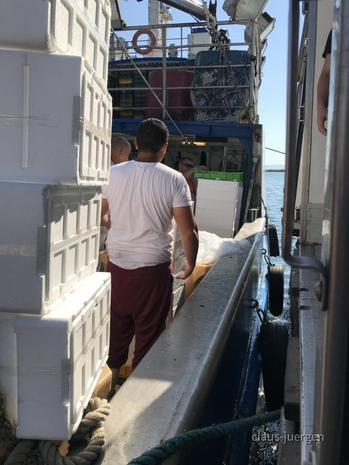 ?random=2087081823&maxWidth=0&embedded=0&thumbnail=large