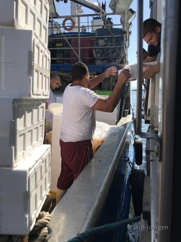 ?random=451410498&maxWidth=0&embedded=0&thumbnail=large