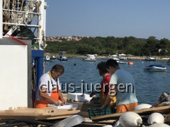 Fischerei Liznjan