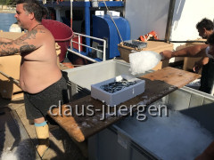 Fischerei Liznjan