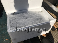 Fischerei Liznjan