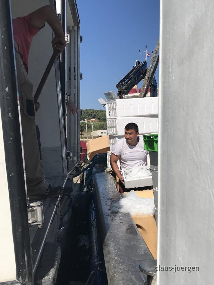 ?random=1906406488&maxWidth=0&embedded=0&thumbnail=large