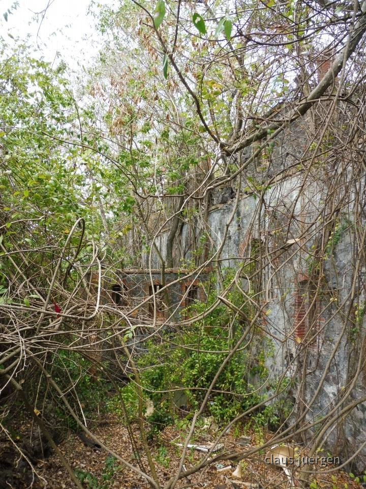 ?random=153438338&maxWidth=0&embedded=0&thumbnail=large