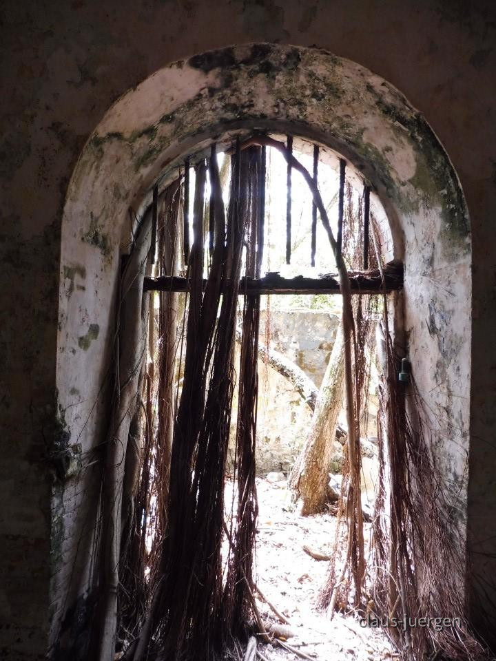 ?random=1637183973&maxWidth=0&embedded=0&thumbnail=large