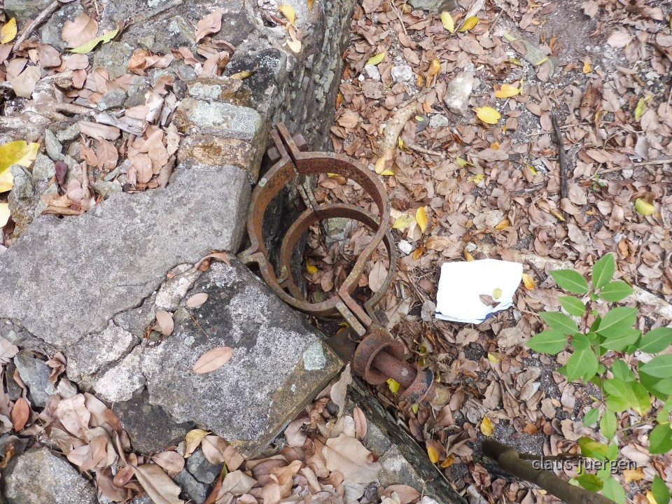 ?random=1083883308&maxWidth=0&embedded=0#imageAnker_42382