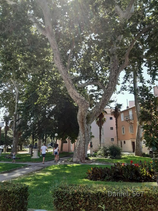 23_Zadar