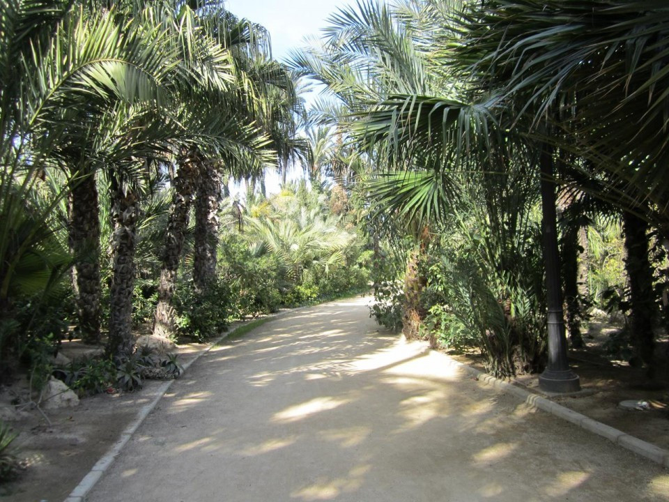 Alicante_ El Palmeral_02