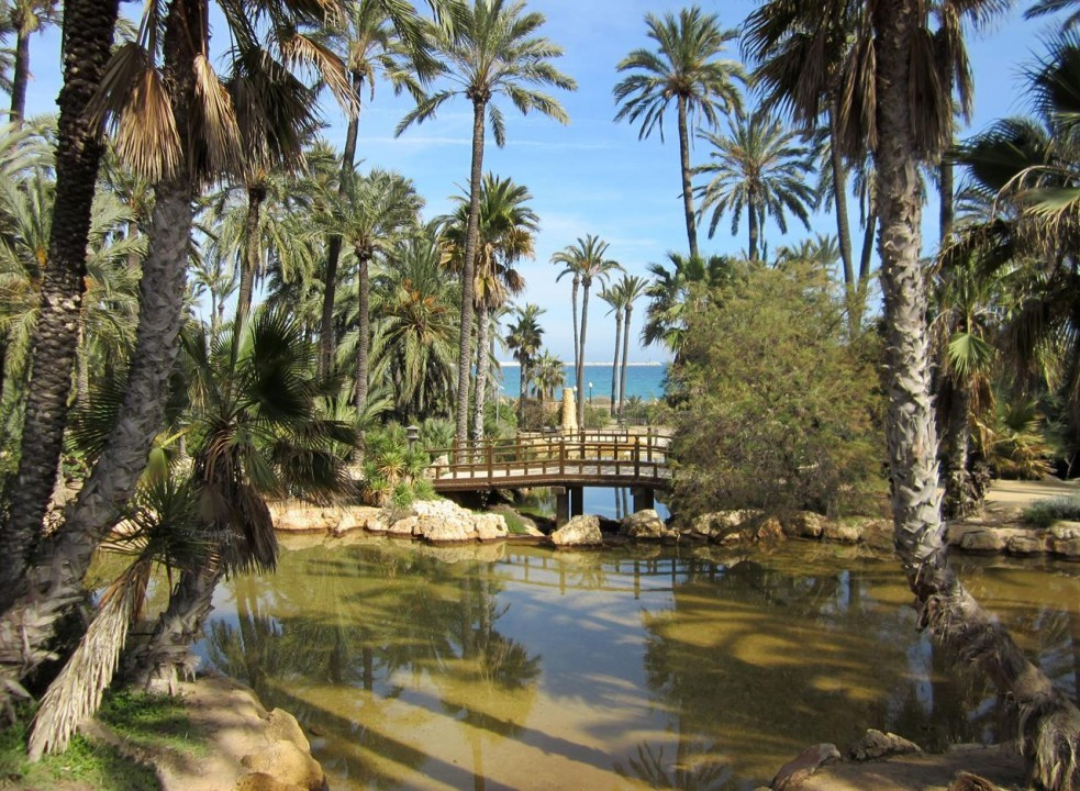 Alicante_ El Palmeral_04