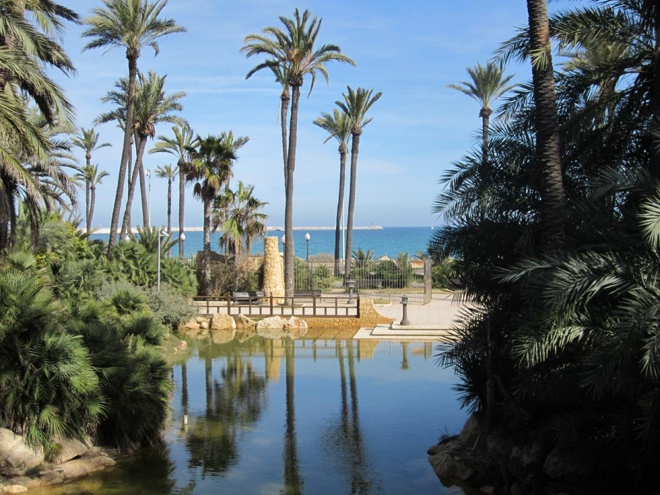 Alicante_ El Palmeral_05