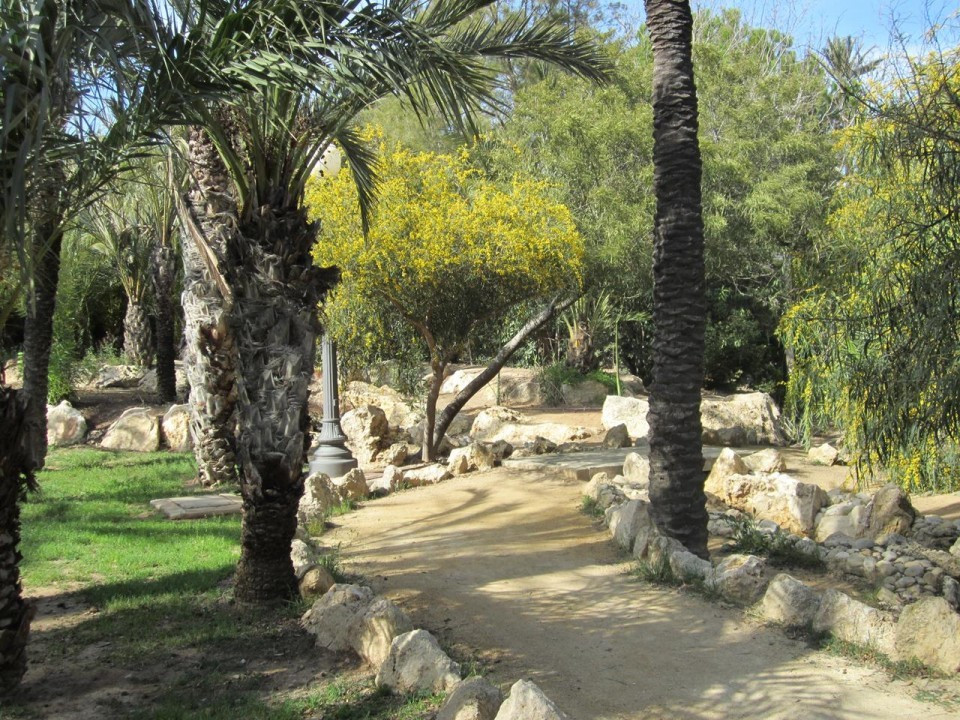 Alicante_ El Palmeral_08