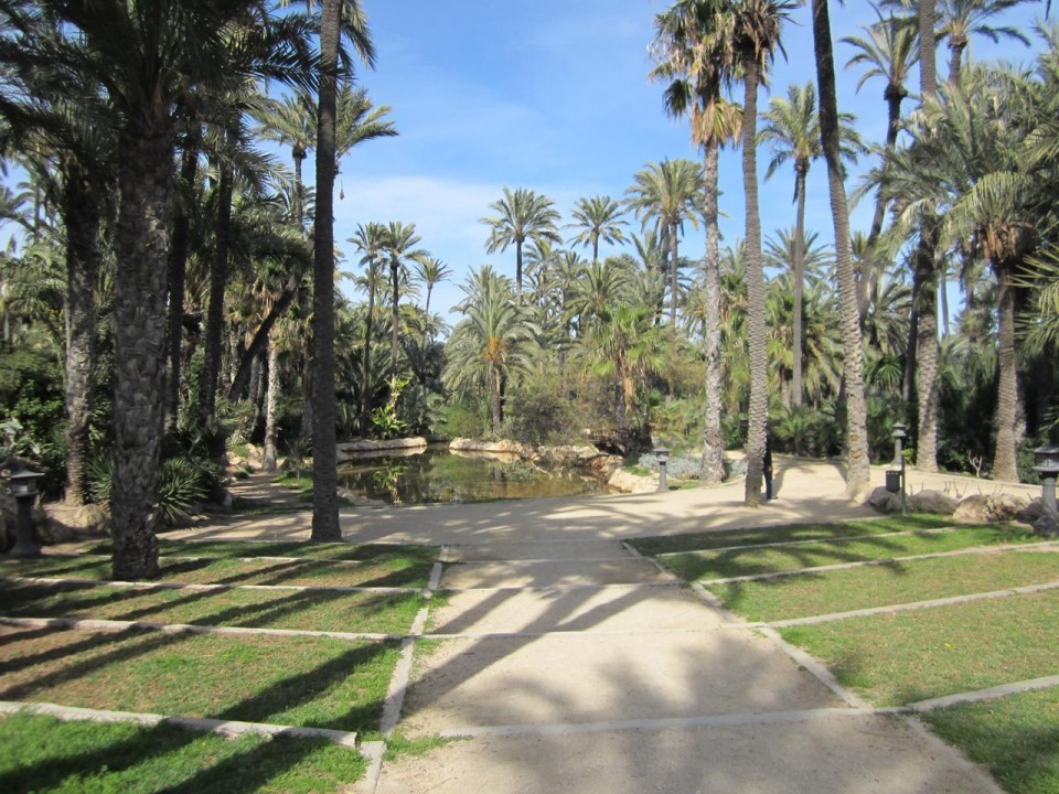 Alicante_ El Palmeral_12
