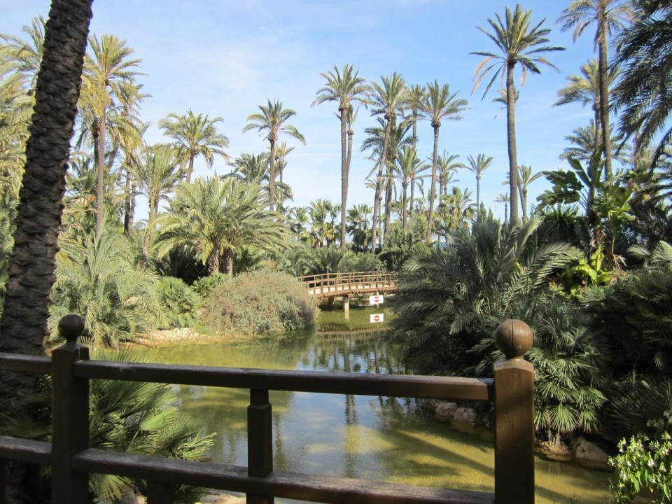 Alicante_ El Palmeral_13