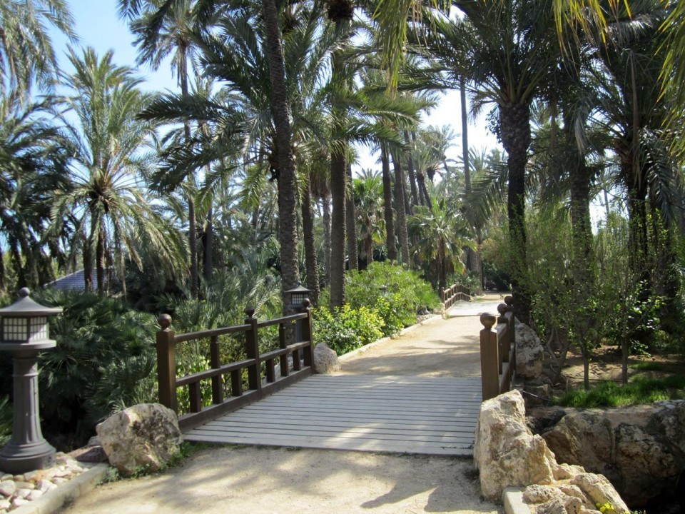 Alicante_ El Palmeral_15