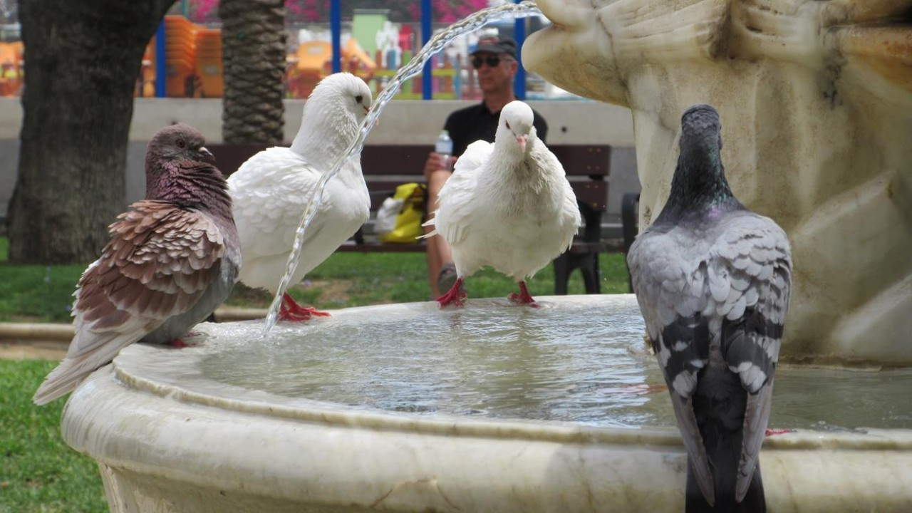 Alicante_ Parque de Canalejas_03