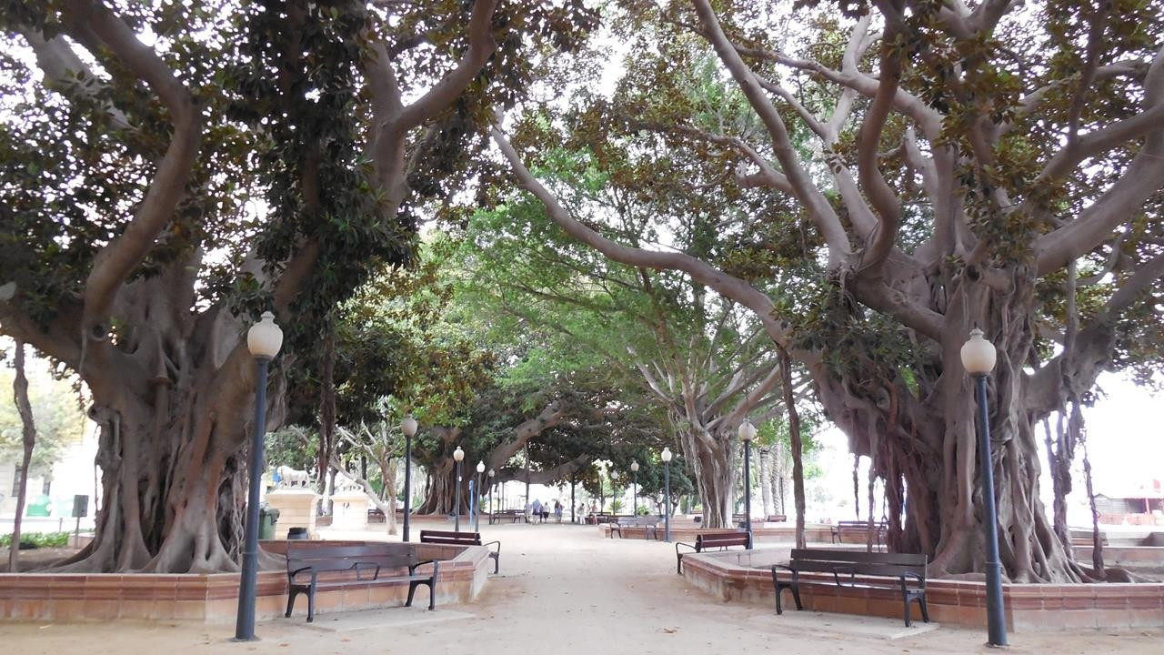 Alicante_ Parque de Canalejas_05