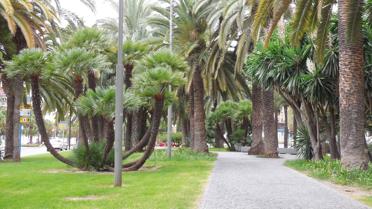 Alicante_ Parque de Canalejas_10