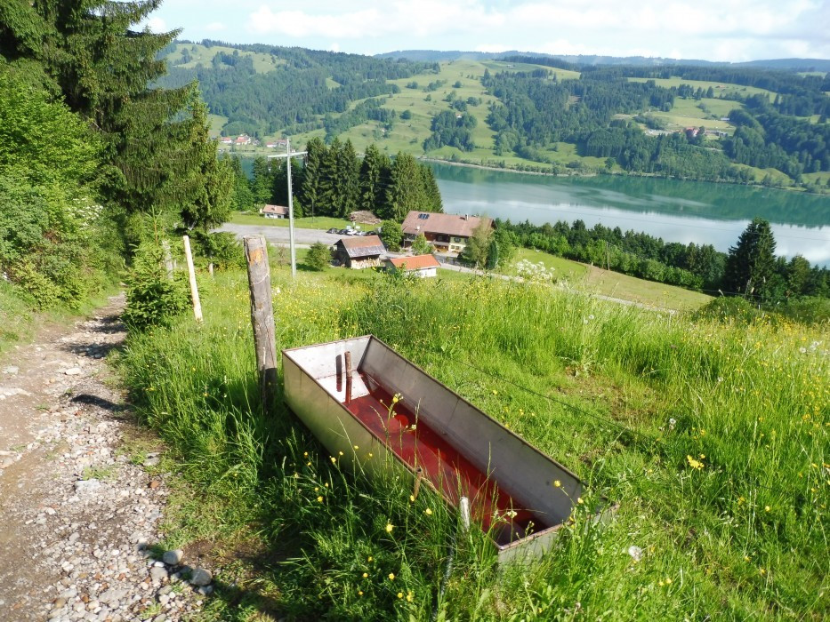 Gschwender Horn im Oberallgäu