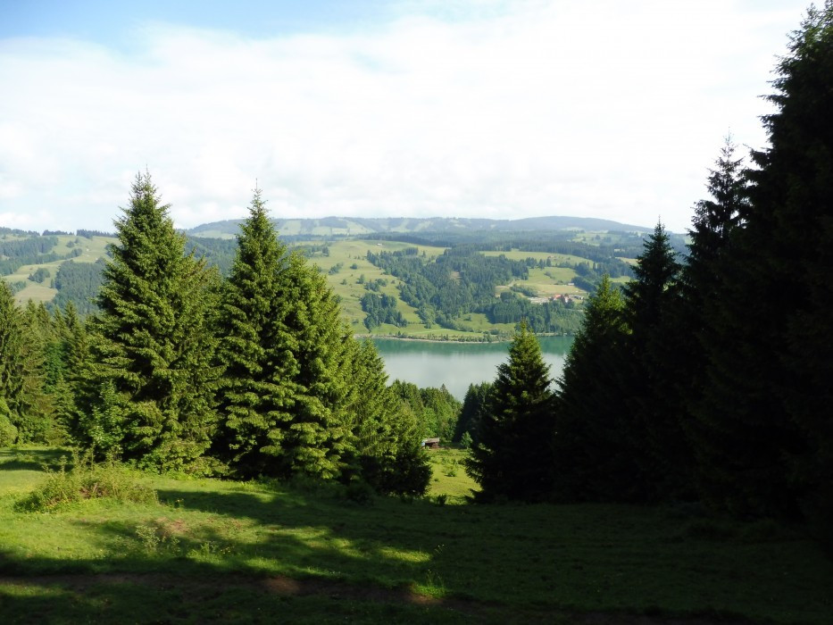 Gschwender Horn im Oberallgäu