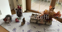 Herbstdeko zu Hause mit Kastanien von Bad Dürrheim und Zierapfelbaum