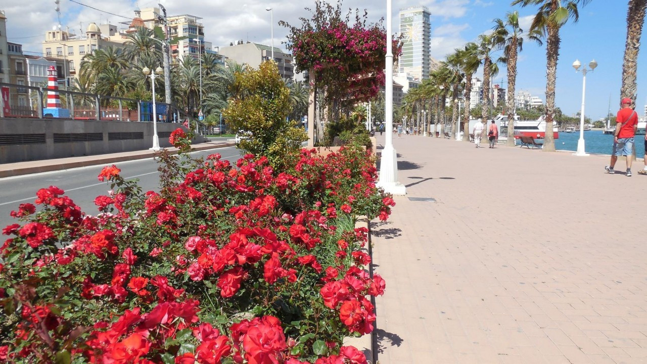 Alicante_Hafen_04
