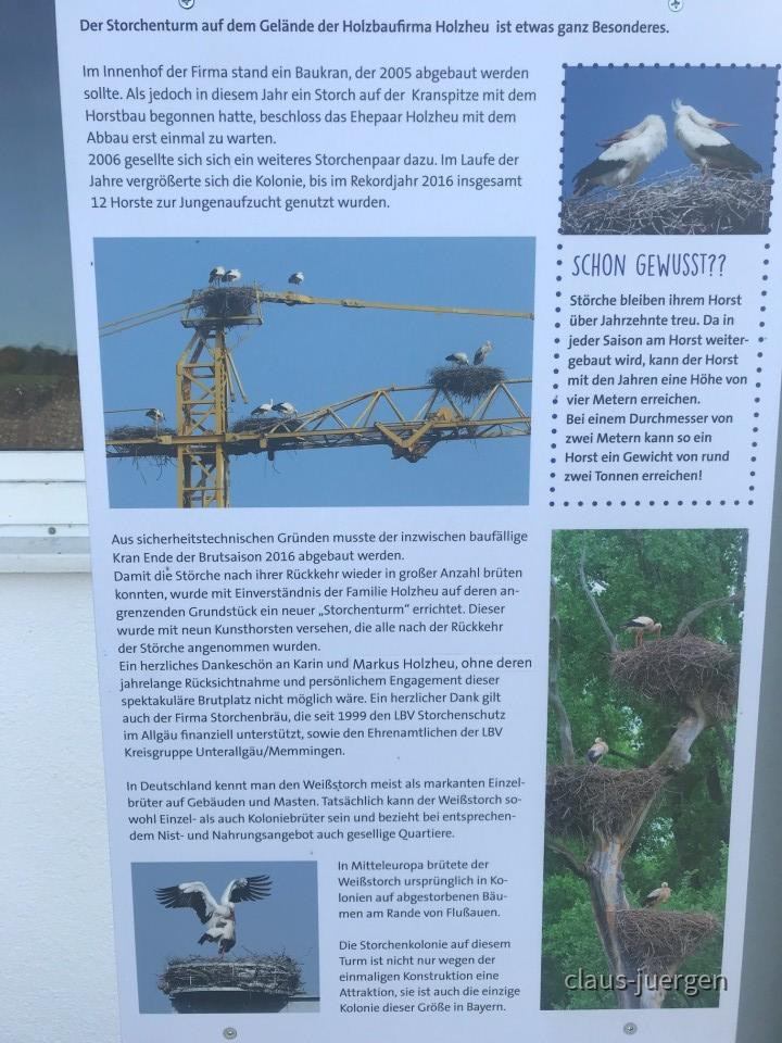 ?random=736068777&maxWidth=0&embedded=0&thumbnail=large