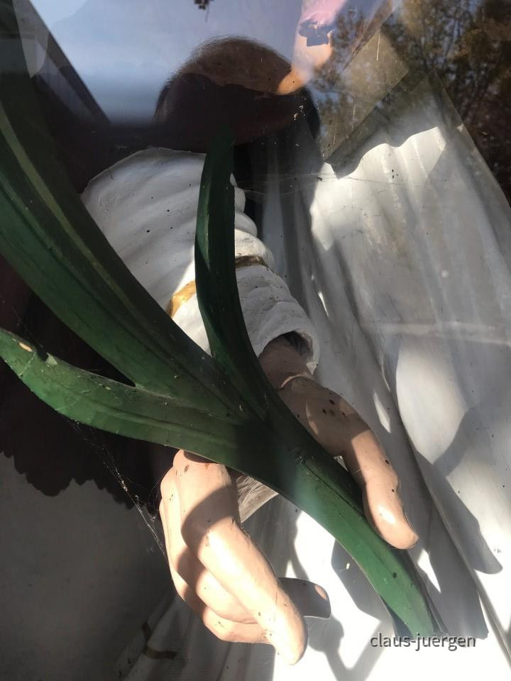 ?random=581540221&maxWidth=0&embedded=0&thumbnail=large