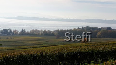 Blick Richtung Konstanz