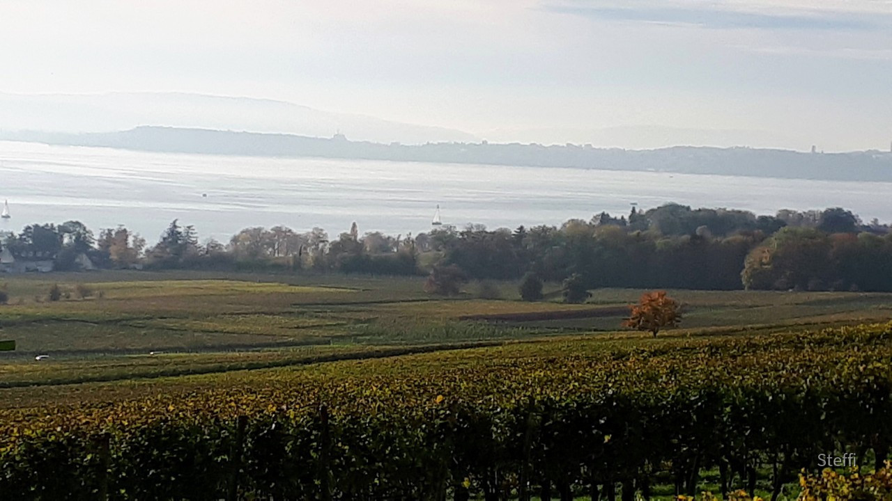 Blick Richtung Konstanz