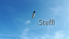 Wahrzeichen vom Bodensee der Zeppelin