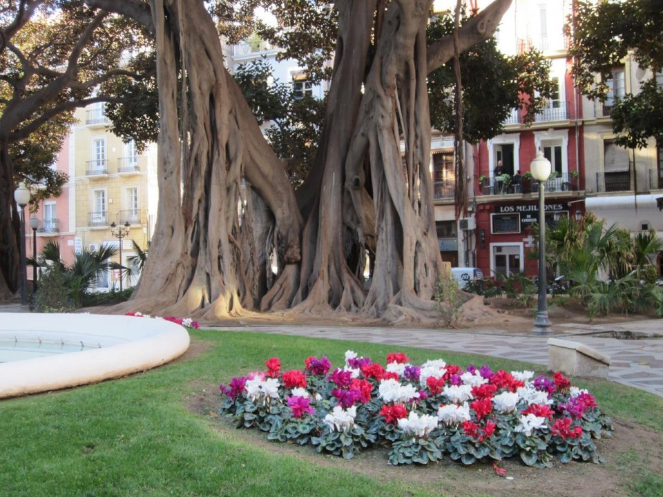Alicante_Altstadt_26