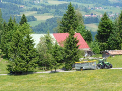 Gschwender Horn im Oberallgäu
