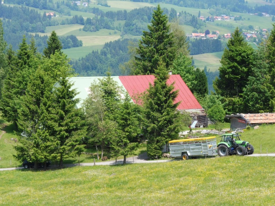 Gschwender Horn im Oberallgäu