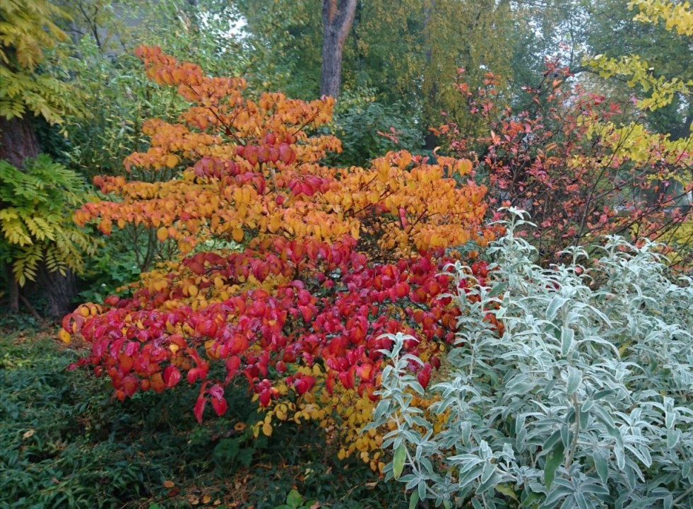 Herbst