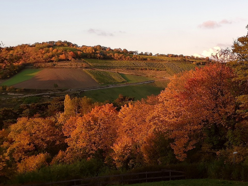 Herbst