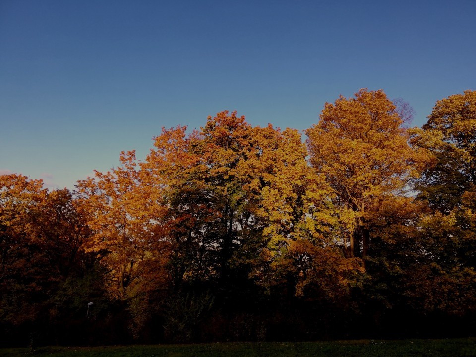 Herbst