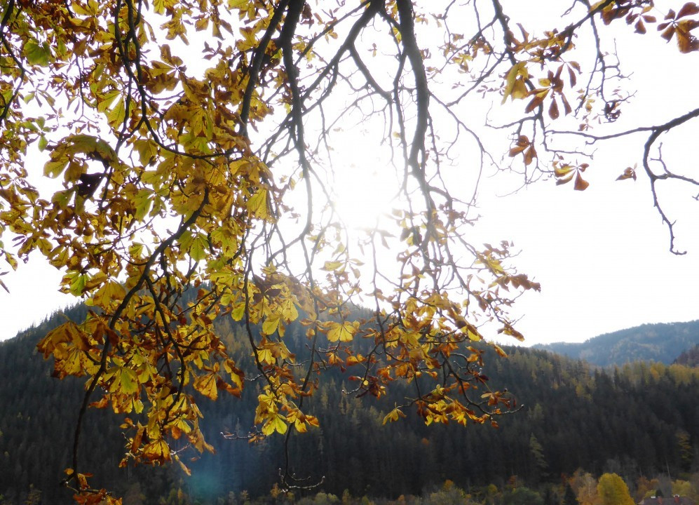 Neuberg an der Mürz (1)
