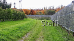 Wanderweg Apfelplantagen