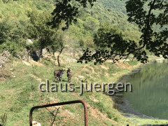 Wanderung Most Rasa nach Kunj