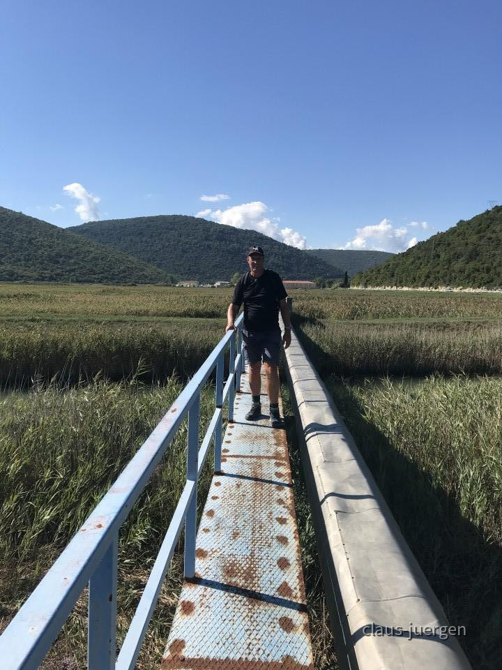 ?random=1077441567&maxWidth=0&embedded=0&thumbnail=large