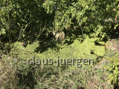 Wanderung Most Rasa nach Kunj