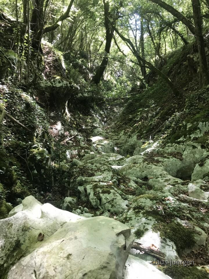 ?random=1671950922&maxWidth=0&embedded=0&thumbnail=large