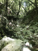 Wanderung Most Rasa nach Kunj