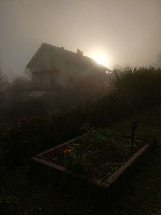 Nebel